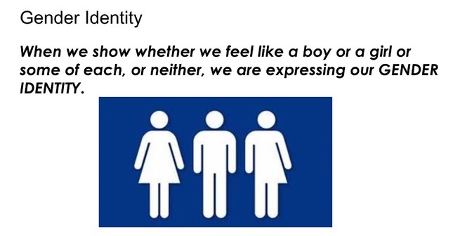 A slide with the heading "Gender Identity" that includes a graphic of three human figures—one representing a woman, another a man, and a third a nonbinary person.