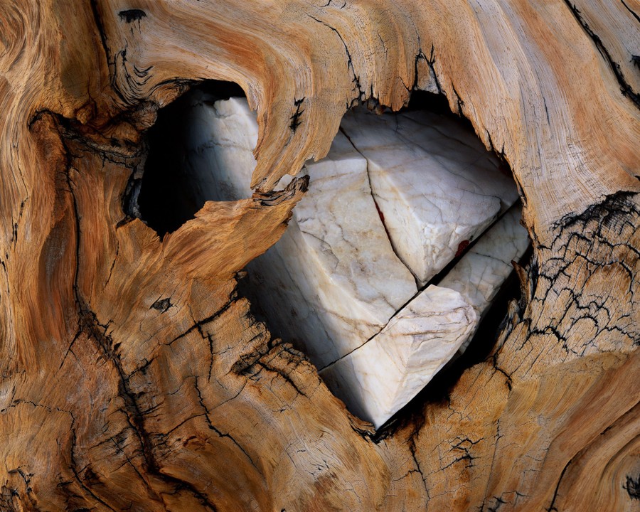 Angular stone is seen embedded inside weathered wood.