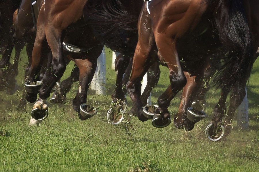 Horses run through grass during a race.