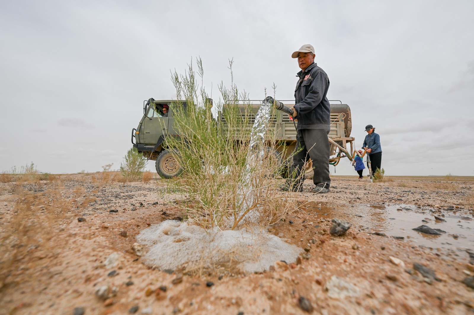 People water a small shrub in a desert, using a hose attached to a small tanker truck.