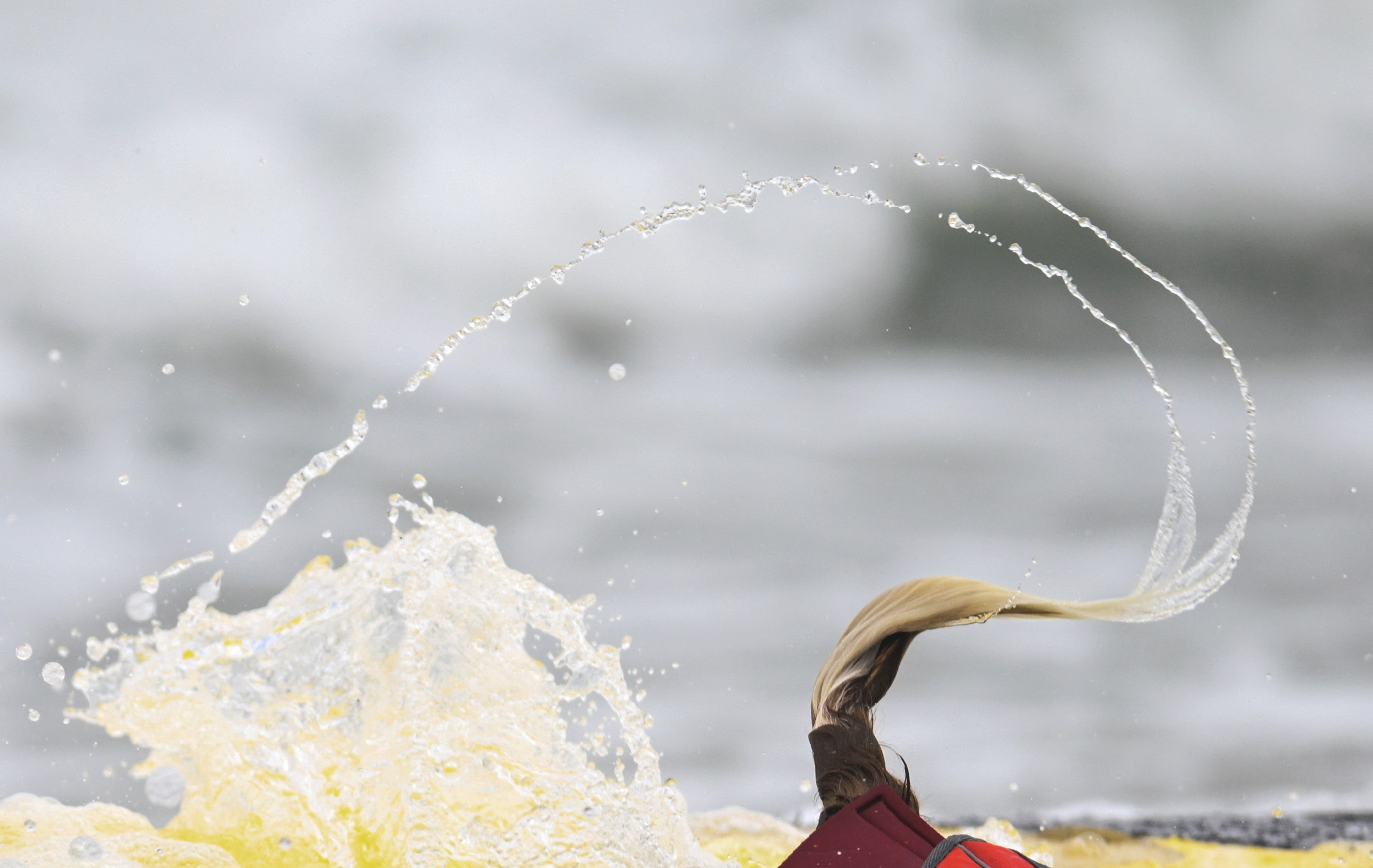 Water droplets fly through the air from a dog's wagging tail during a surfing competition.