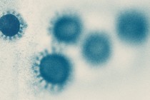 blue coronavirus particles scattered across an image, fading from left to right