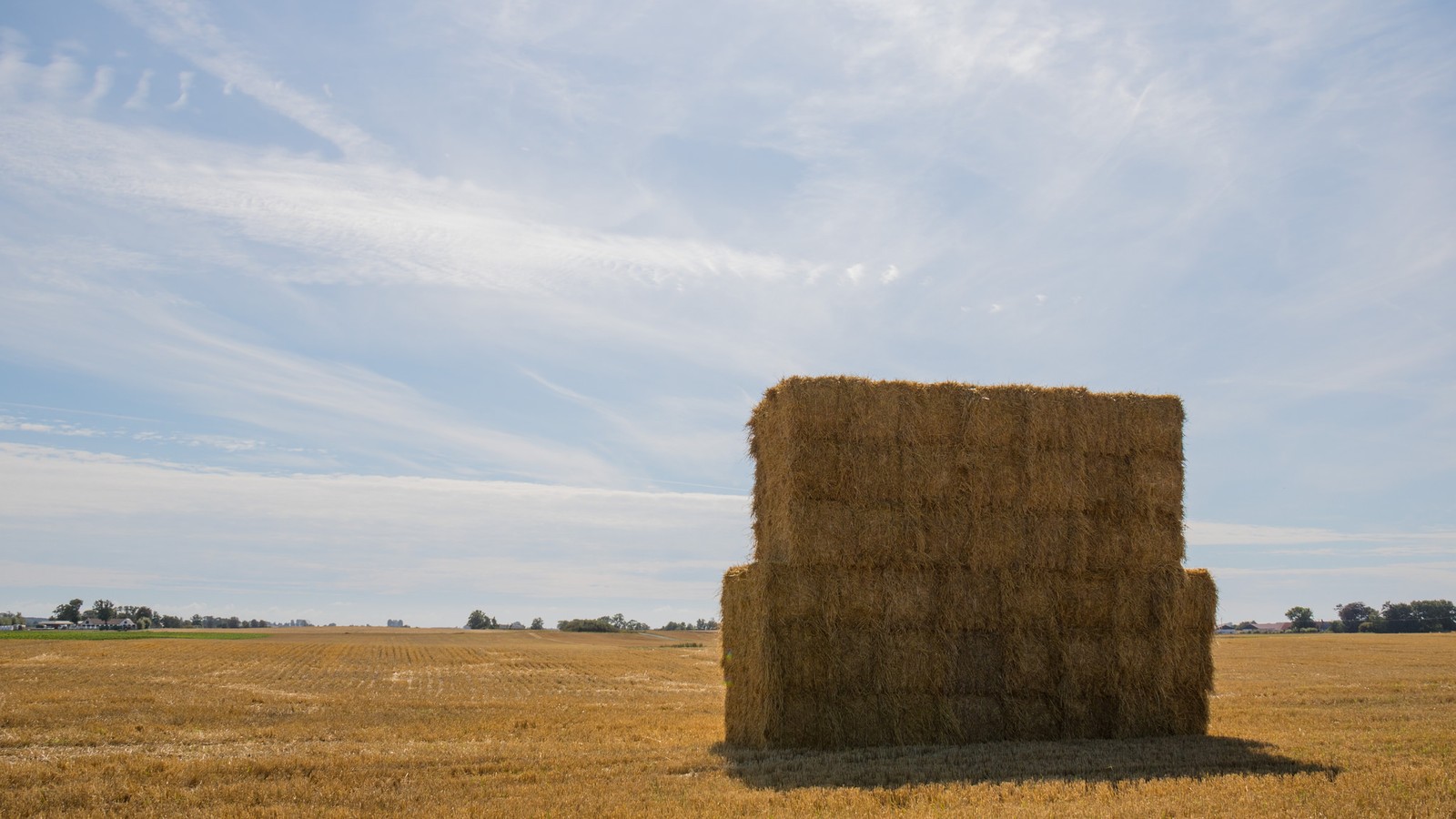 Pitching Hay Ukraine