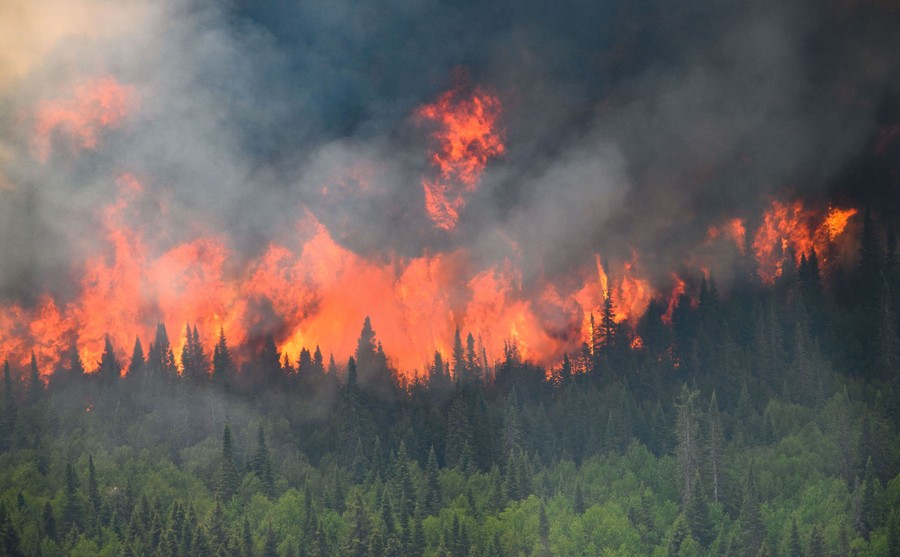 The front of a large wildfire in a forest