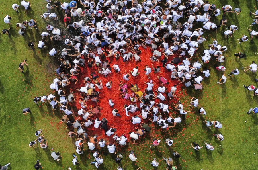 An aerial view of a crowd of people scrambling over a giant pile of tomatoes