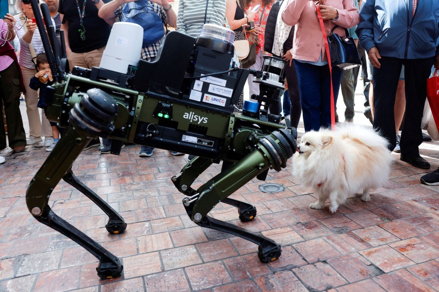 A doglike robot kneels down during an encounter with a much smaller actual dog.