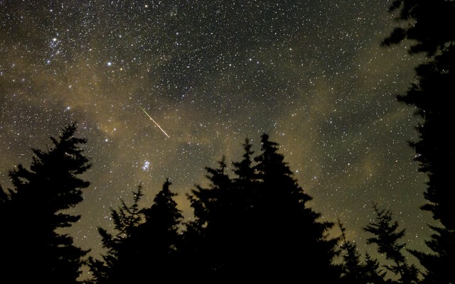 Photograph of the night sky over evergreen trees