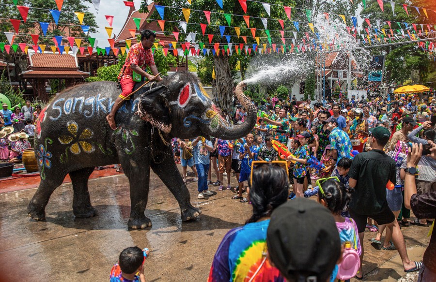 An elephant sprays water from its trunk over the heads of a crowd of festivalgoers.