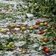 Broken glass and vegetables on the ground