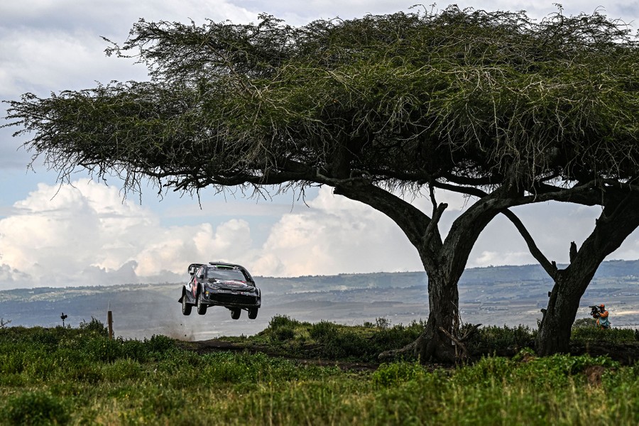 A rally car gets some air during a race, passing beneath a pair of trees.