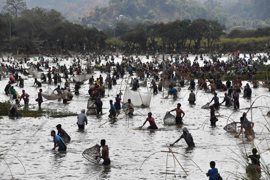 Hundreds of people stand in a shallow lake, carrying nets and baskets to catch fish.