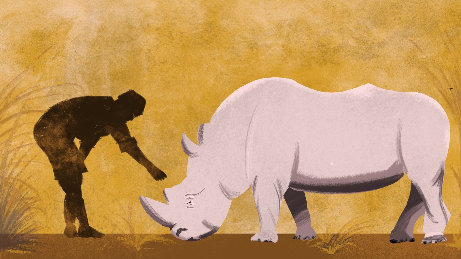 The War on Rhino Poaching Has Human Casualties - The Atlantic