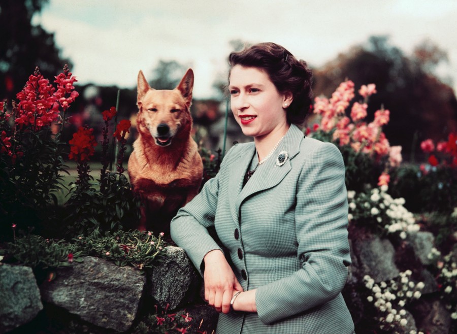 Young Queen Elizabeth stands in a garden with a dog.
