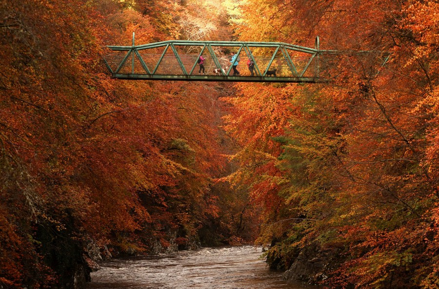 People cross a footbridge high over a river among fall foliage.