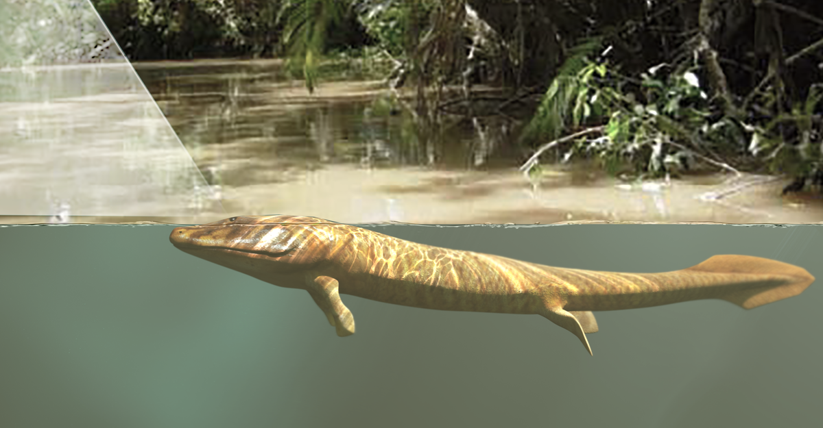 Invasions of the Land: The Transitions of Organisms from Aquatic