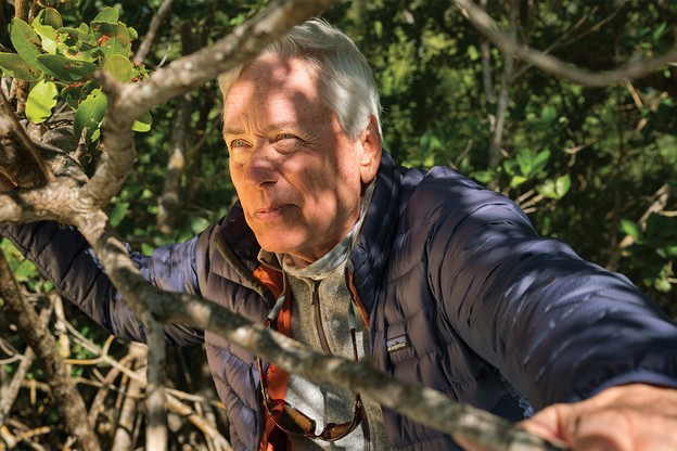 photo of Carl Hiaasen wearing blue jacket over gray fleece holding the branches of a mangrove