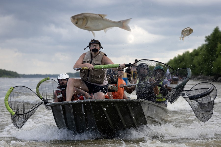 In a small boat full of people wearing helmets motors along a river, each person holds out a net as two fish jump out of the water.