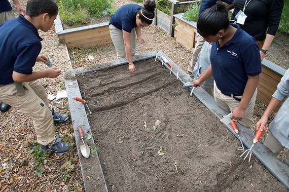 essay on nature as a teacher