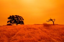 An orange sky filled with wildfire smoke hangs above hiking trails at the Limeridge Open Space in Concord, California, on September 9, 2020.