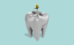 A flower grows out of a cracked tooth.