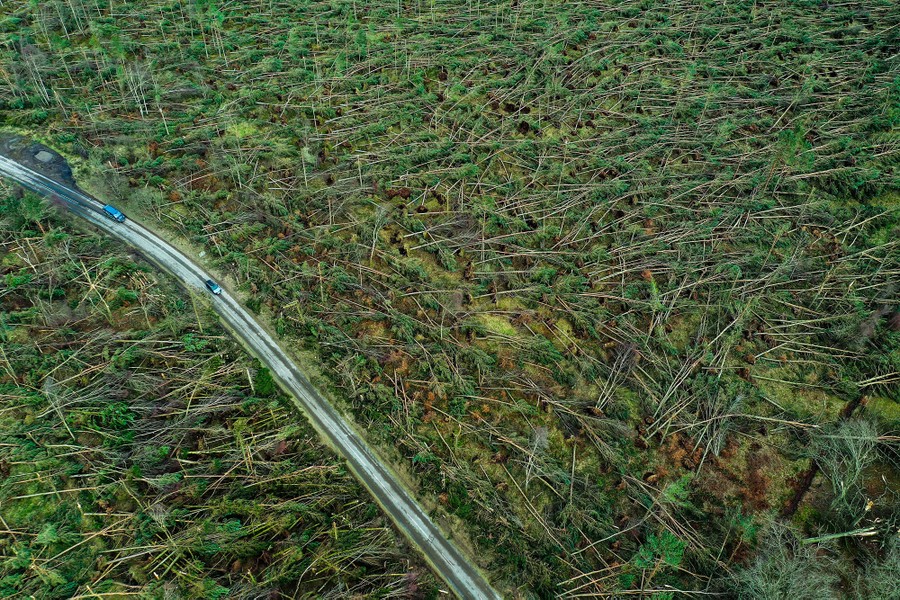 An aerial view of a road through a forest filled with storm-toppled trees