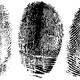 Three black-and-white fingerprints against a white background.