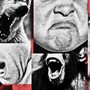 Photo illustration of angry people and animals