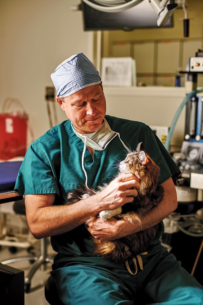 photo of man in scrubs with mask untied looking down at and petting cat held in his arms