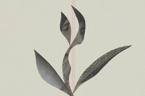 collage of woman in abstract shape