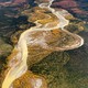 The Salmon River in the Brooks Range runs orange in the early fall of 2020.