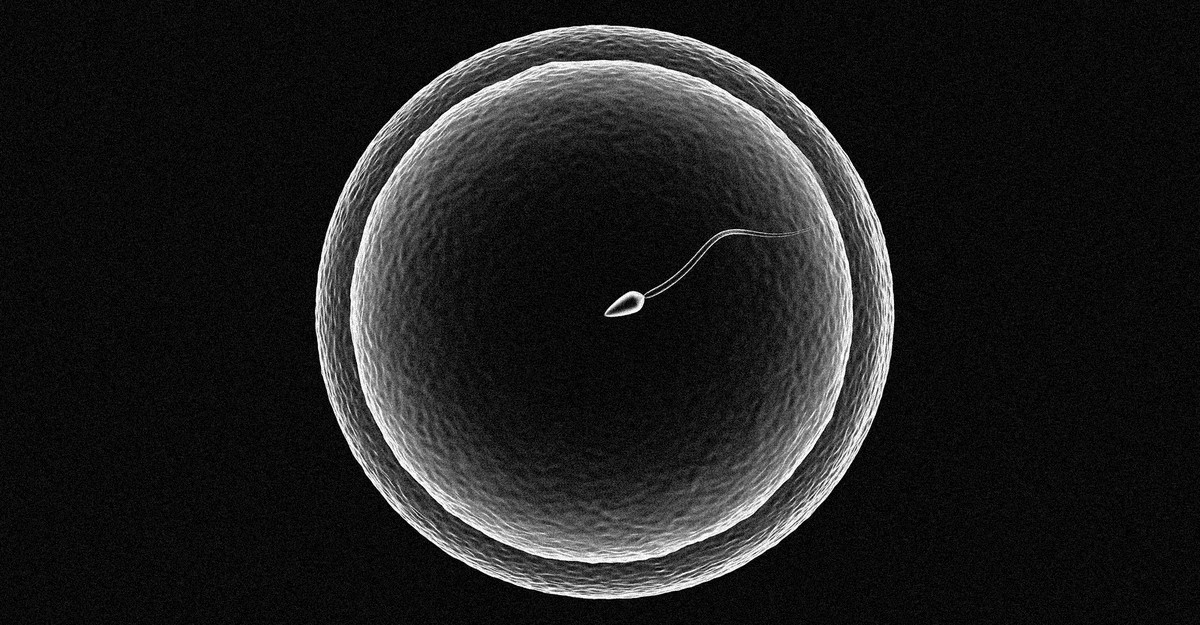 How Can You Half With the Embryo That Might Have Been Your Baby?