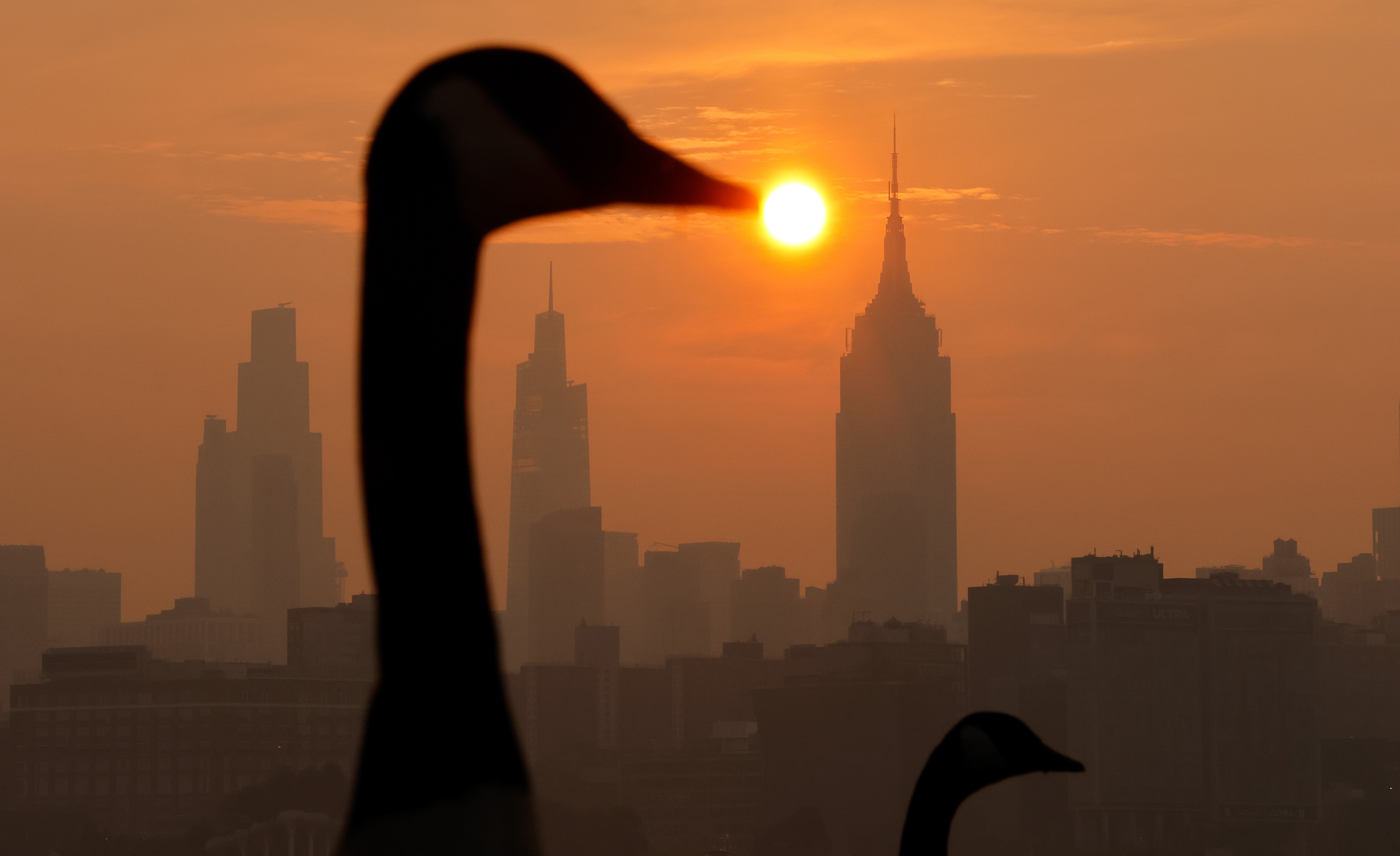 Sunrise on a smoky day, with the New York City skyline in the background, and a pair of geese in the foreground.