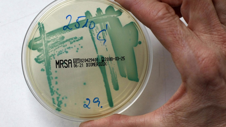 A petri dish labeled "MRSA"