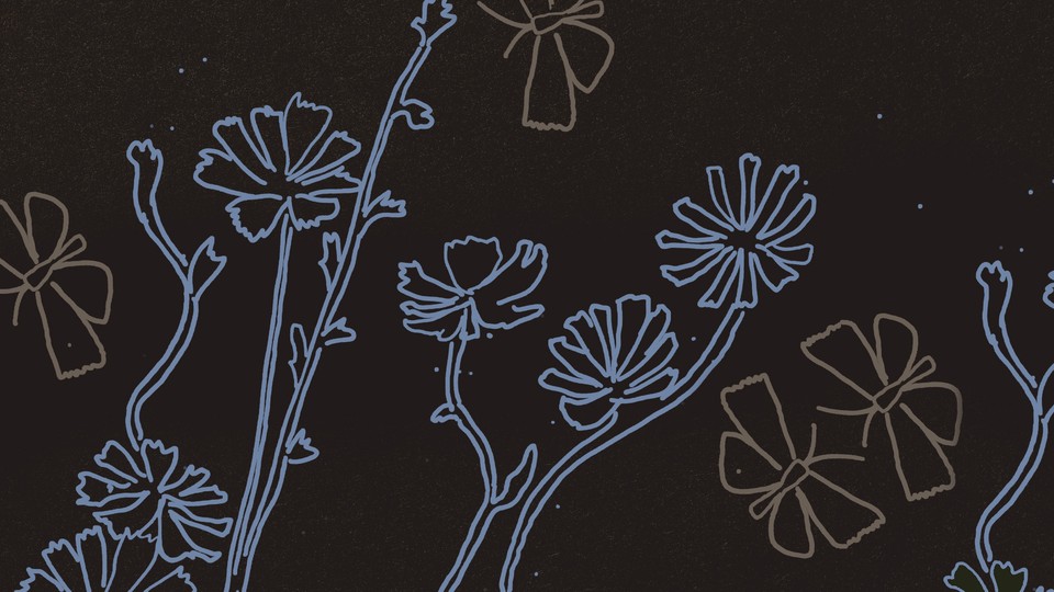 illustration with outlines of bluish flowers and tan winged insects on black background