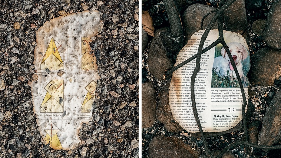 2 photos: scorched fragments of book pages on asphalt and charred ground