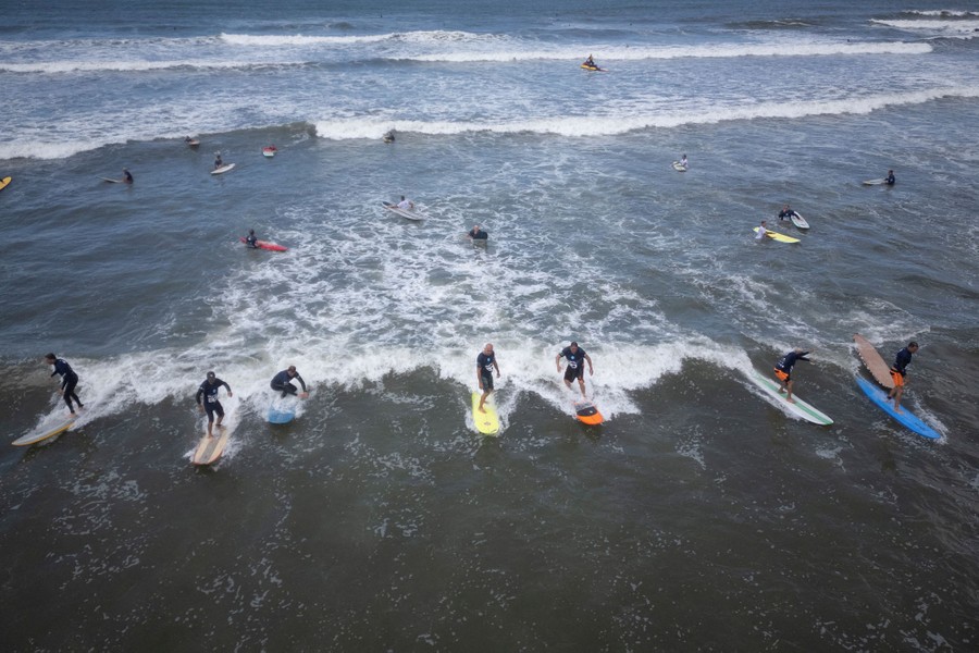 About seven surfers ride a shallow wave.