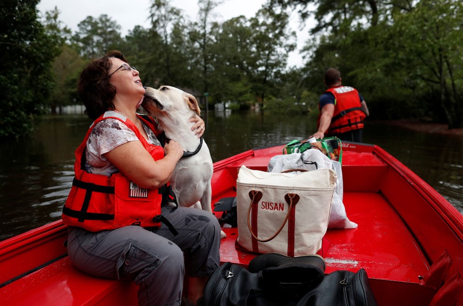 Hurricane Florence Pet Rescues in Photos The Atlantic