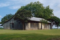 A weathered barn near Drew, Mississippi, surrounded by trees and green grass