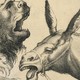 A lion and a donkey