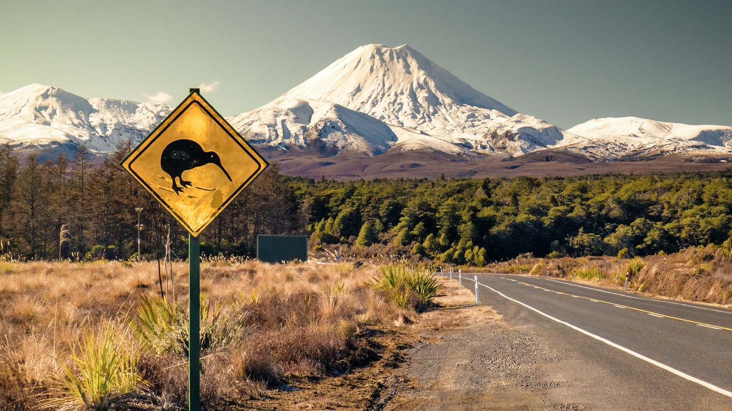 A kiwi crossing sign in a mountain valley