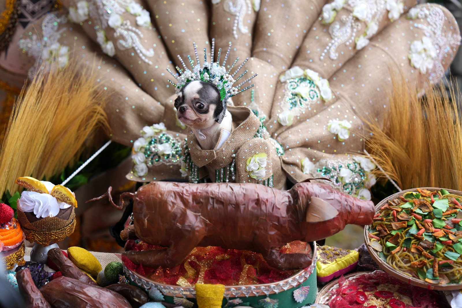 A small dog wears a costume, posed in front of an arrangement of fabric objects made to look like a large feast.