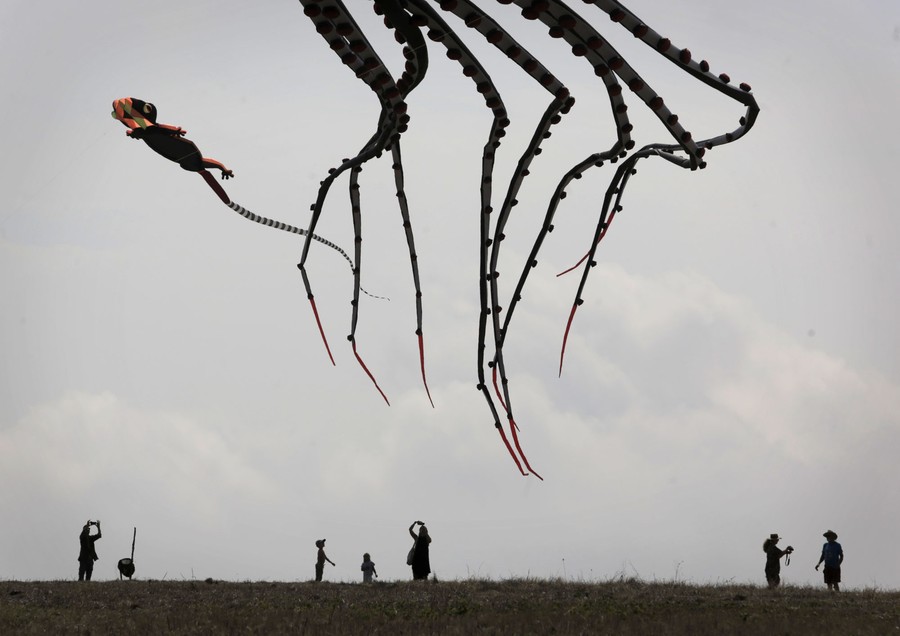 Arms of a giant octopus-shaped kite are seen above several kite-fliers.