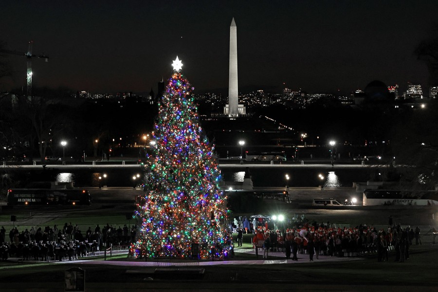 A very tall Christmas tree stands along the National Mall, with the Washington Monument visible behind it.