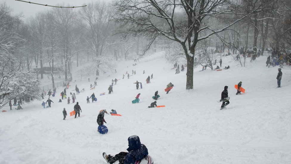A sea of children sleds down a snowy hill.