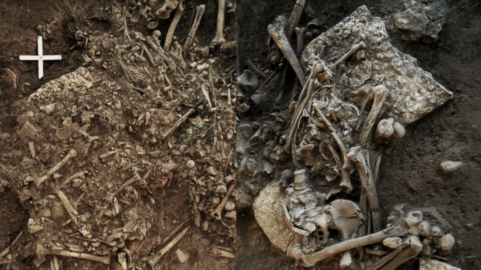 An excavation of human remains