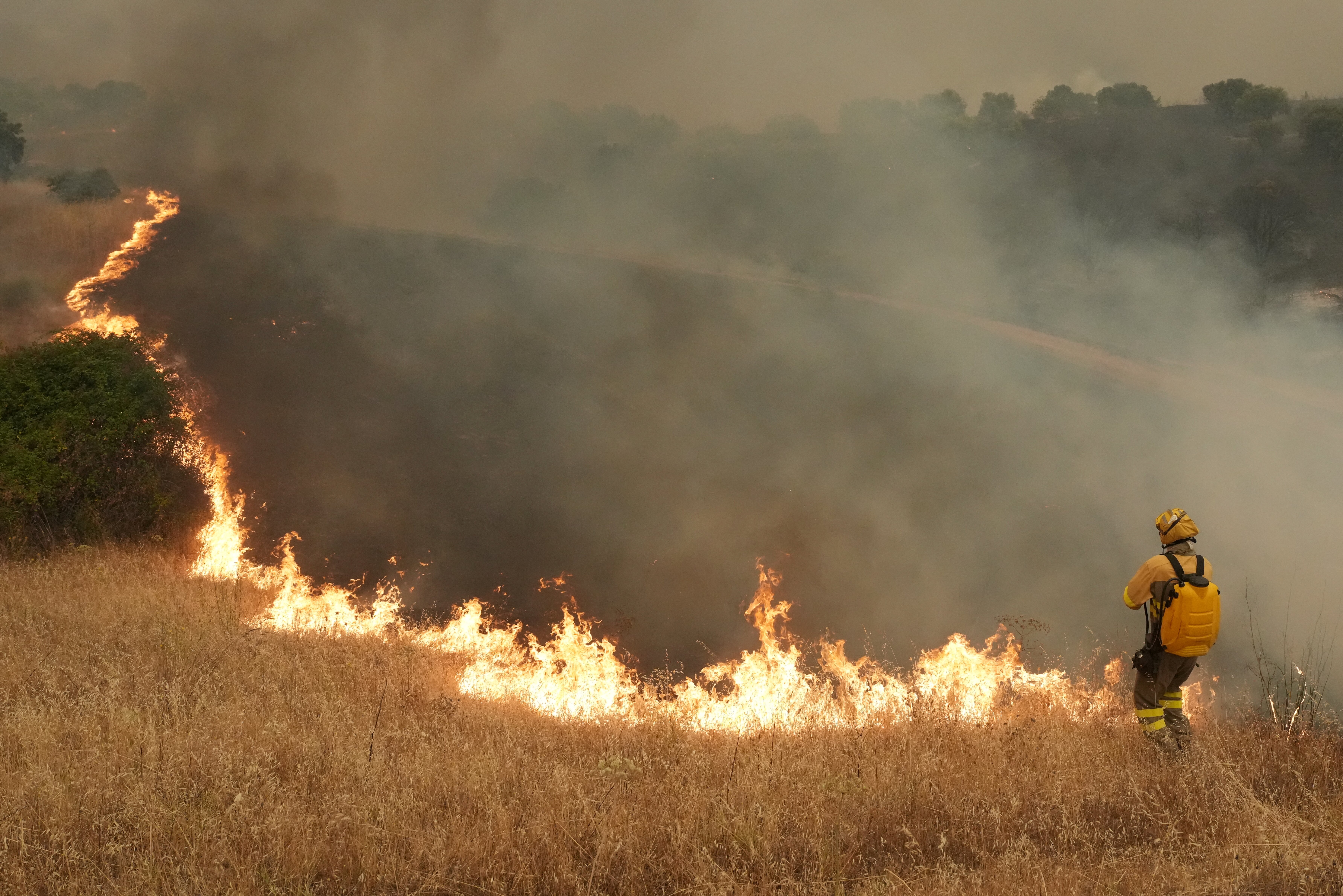 A firefighter works in a farm field, in front of a long line of fire across the field.