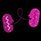 Two pink cartoon mitochondria talking, a pink conversation bubble between them