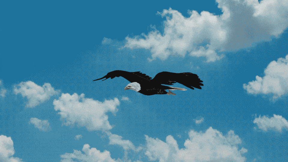 Illustration of a bald eagle getting placed in a wireframe cage