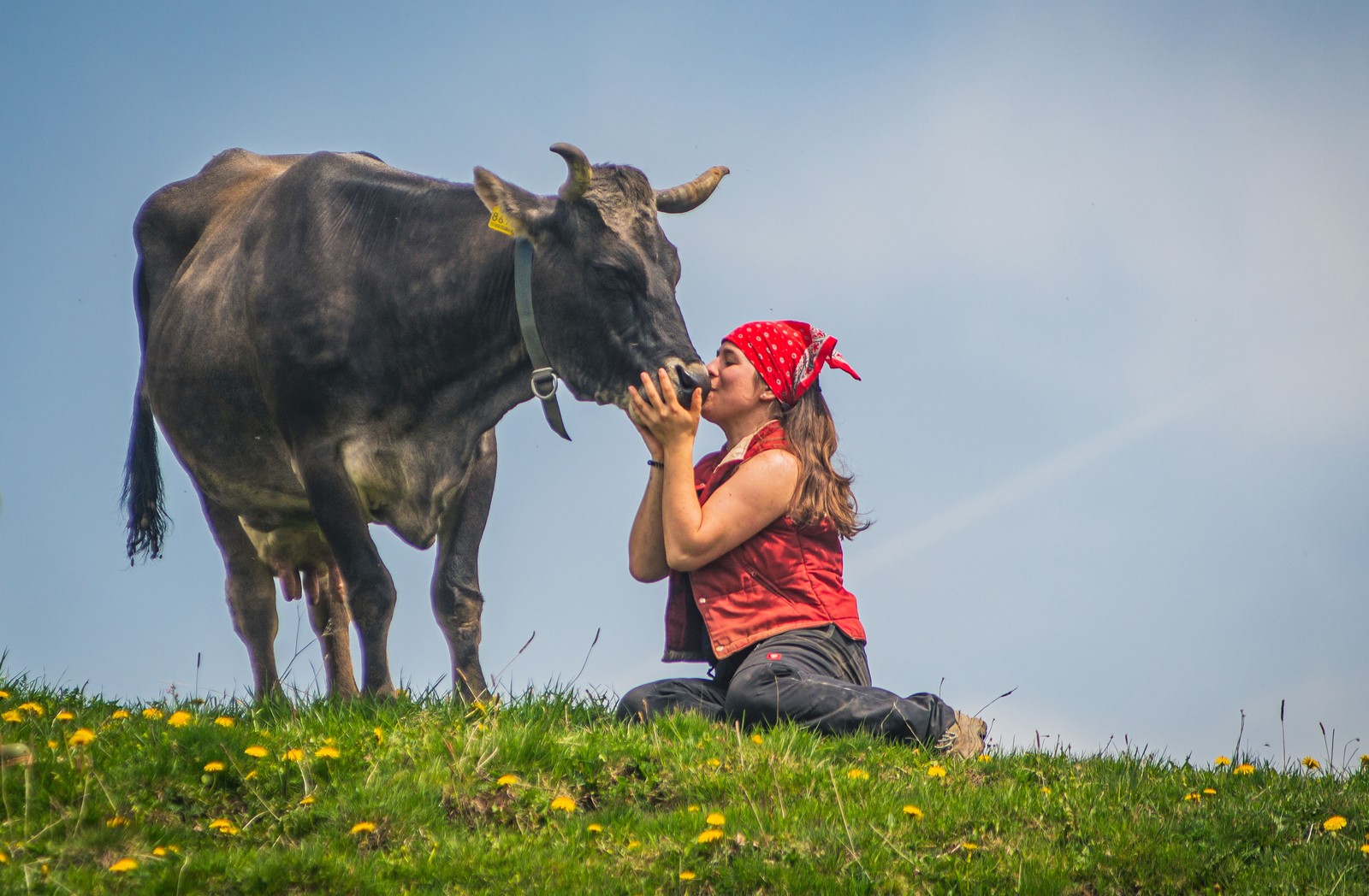A woman sits on the ground beside a cow embracing its muzzle.