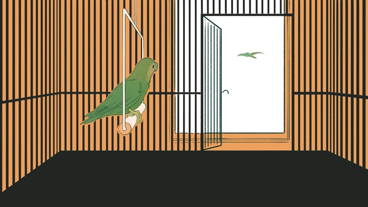An illustration of a bird watching another bird fly away.